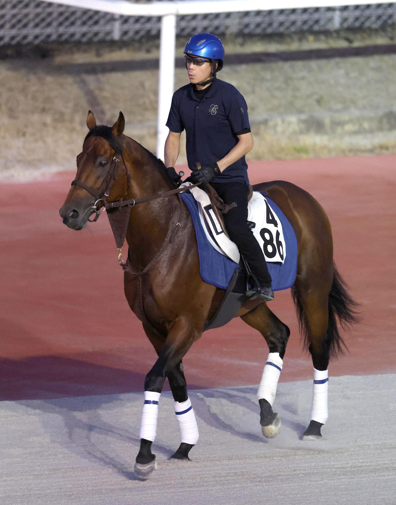 国分優手を背に馬場入りするキタノエクスプレス（撮影・白石智彦）