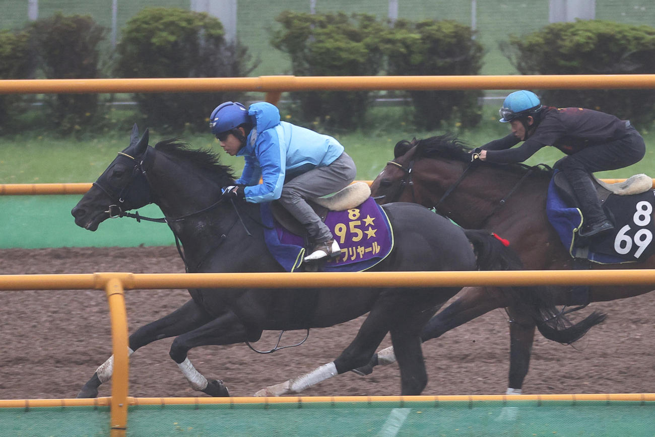 函館ウッドチップコースを併せ馬で追い切られるシャフリヤール（左）