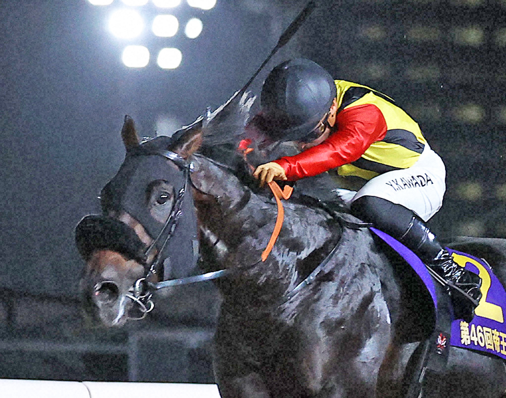 クラウンプライド（2023年撮影）