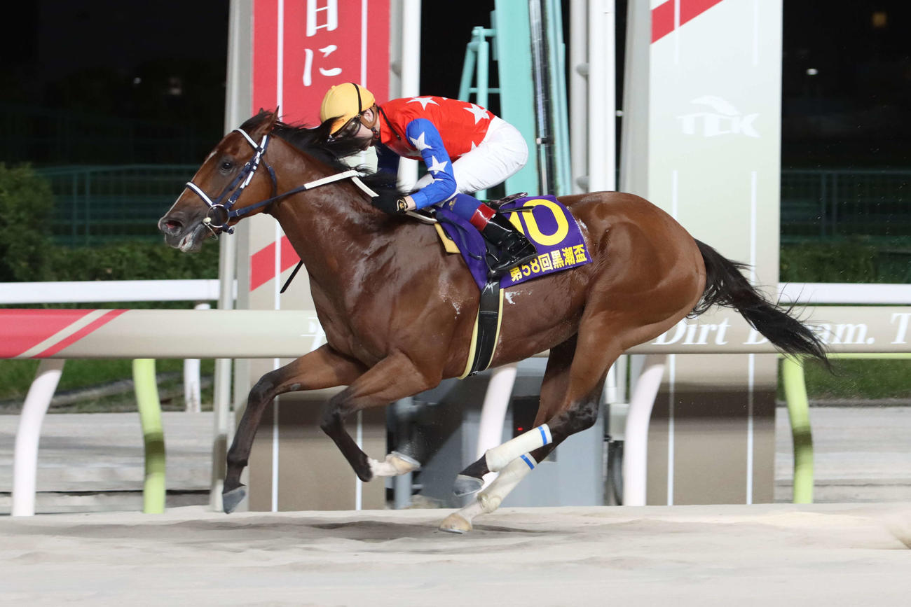 直線で抜け出し日刊スポーツ賞黒潮盃を制したダテノショウグンと御神本訓史騎手