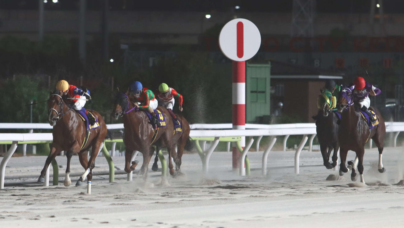 直線で抜け出し日刊スポーツ賞黒潮盃を制したダテノショウグンと御神本訓史騎手（左端）