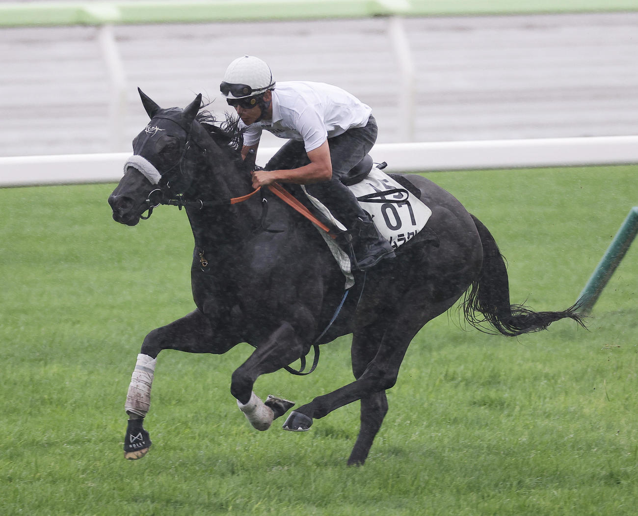 浜中騎手を背に、函館芝コースで追い切られるナムラクレア