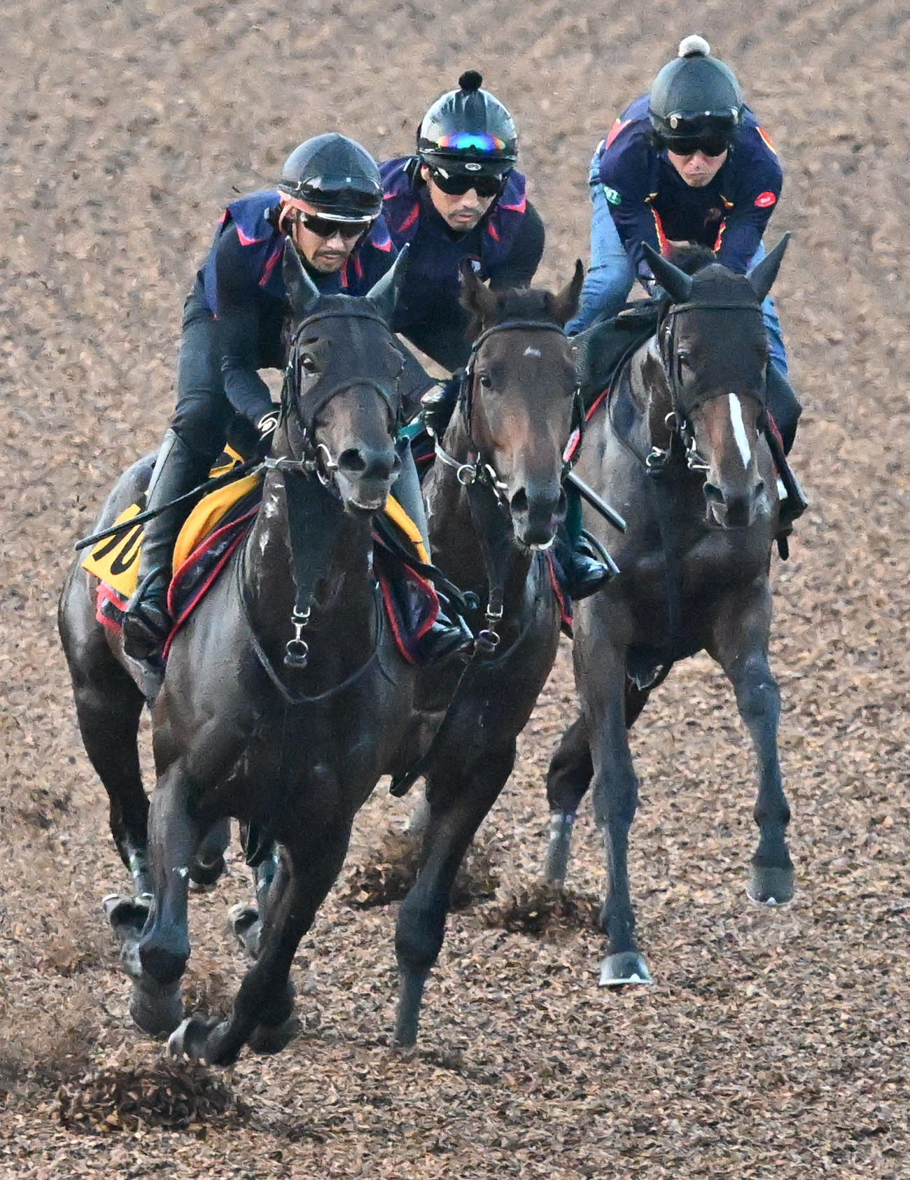 3頭併せて追い切るプリモシークエンス（中央）（撮影・千葉一成）
