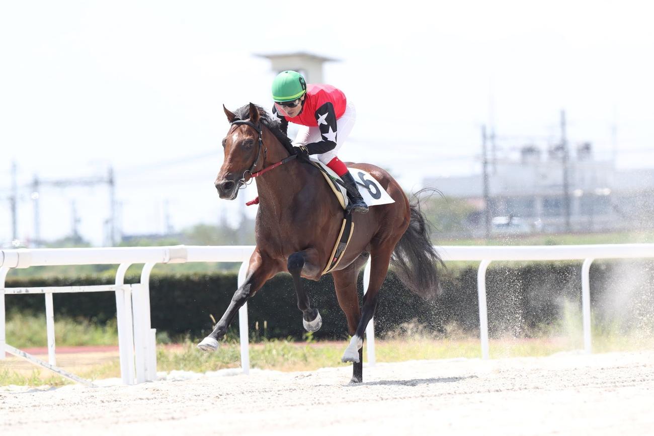 笠松1Rで勝利を挙げたキタノアベル。田口輝彦師の地方通算900勝目となった