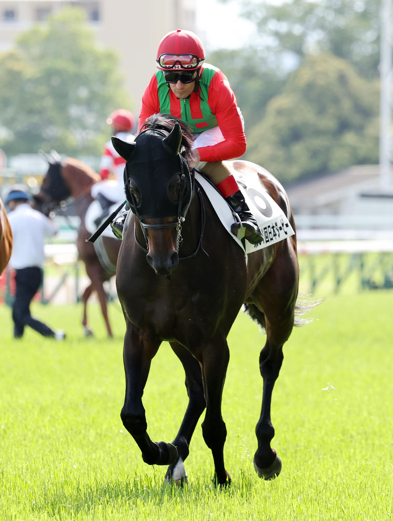 ダービー16着に敗れたコスモキュランダとM・デムーロ騎手
