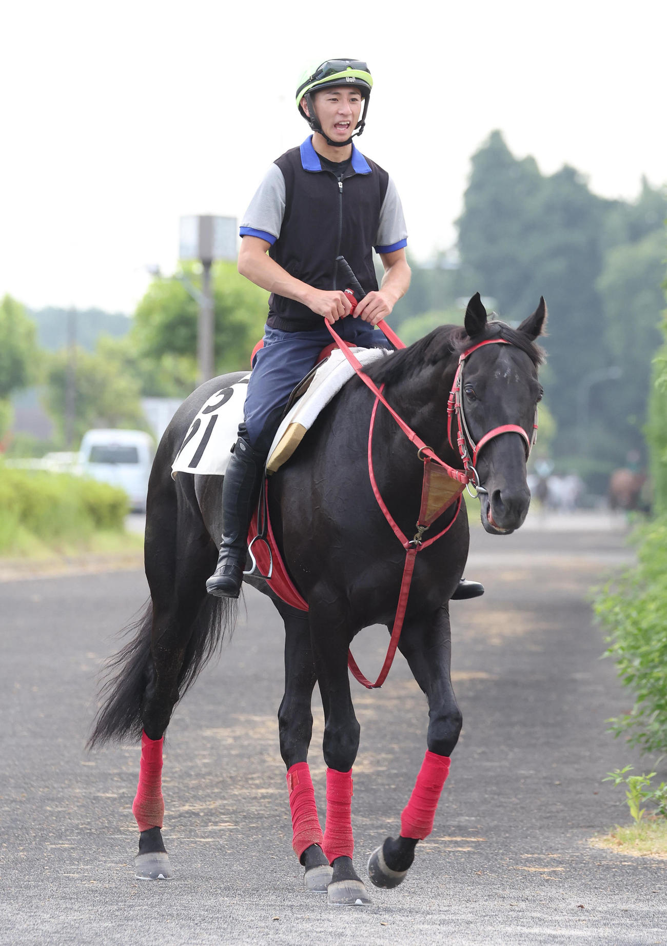 吉村騎手を背に調教から引き揚げるグレイトゲイナー（撮影・白石智彦）