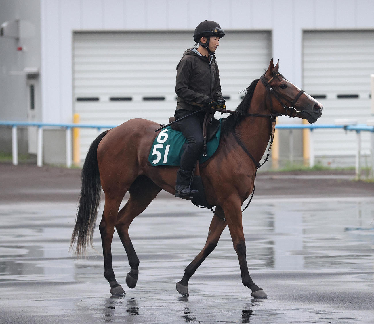 函館競馬場で調整するハプスブルグ