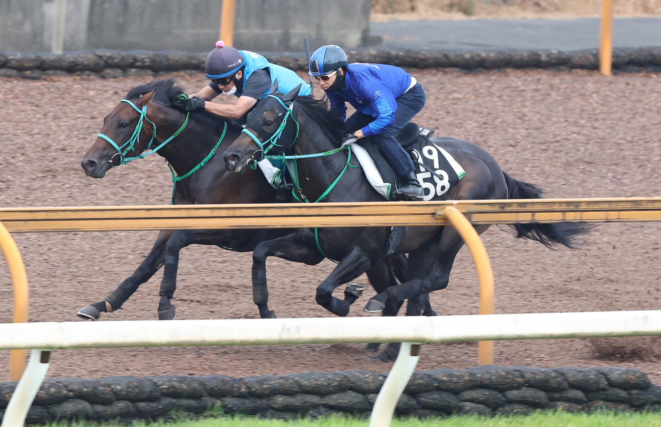 Cウッドで併せ馬で追い切るトータルクラリティ（左）