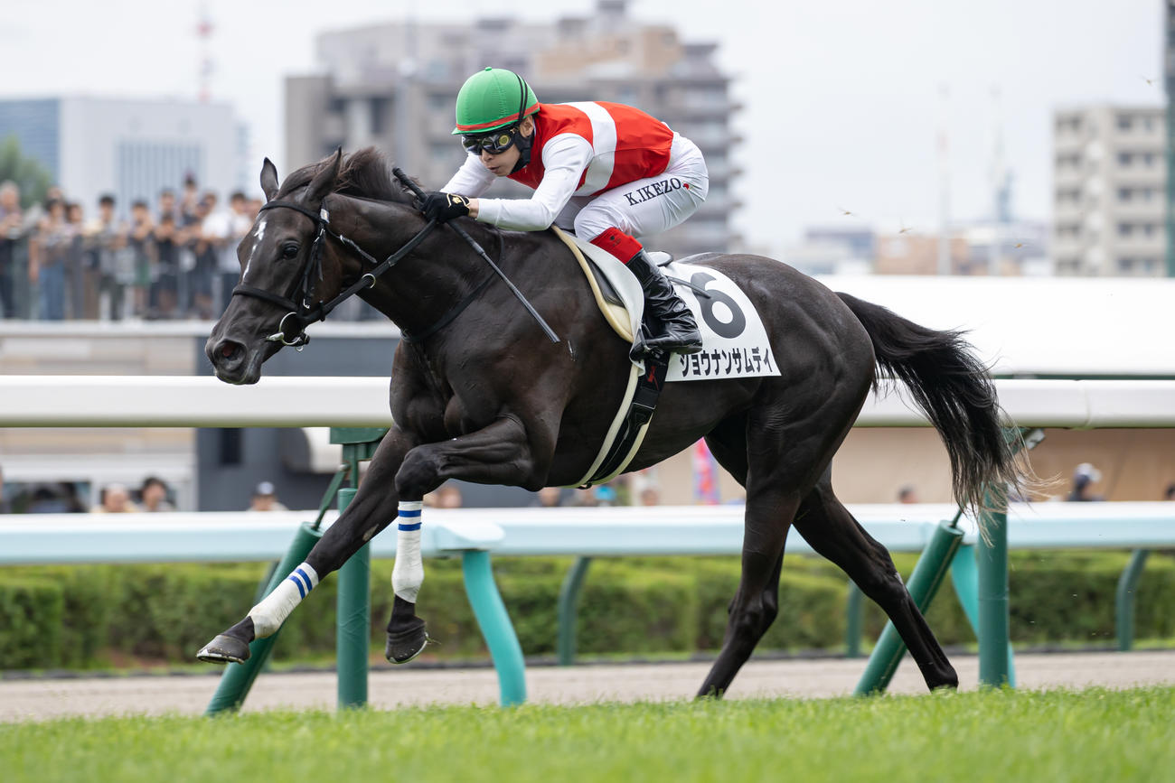 2歳未勝利を制したショウナンサムデイと池添騎手（撮影・村野早祐）