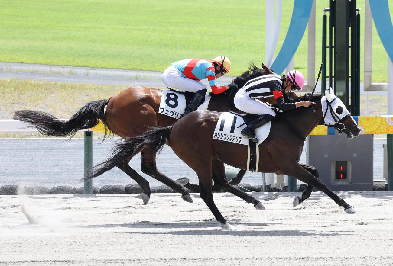 中京3R、角田和騎手を背に3歳未勝利を勝ち上がったカレンワッツアップ（撮影・白石智彦）