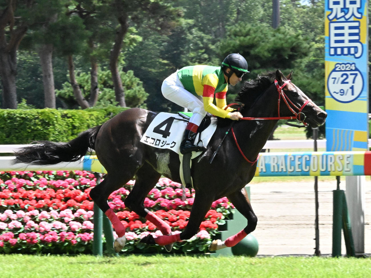 新潟第5R、2歳新馬戦を制したエコロジークとルメール騎手（撮影・千葉一成）