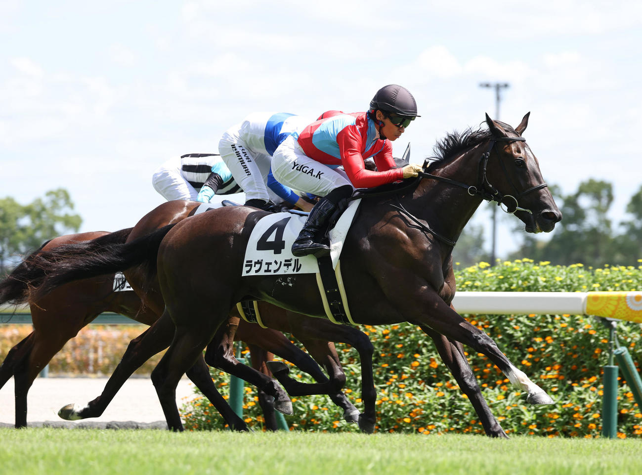 中京5R新馬戦を制したラヴェンデル（撮影・白石智彦）