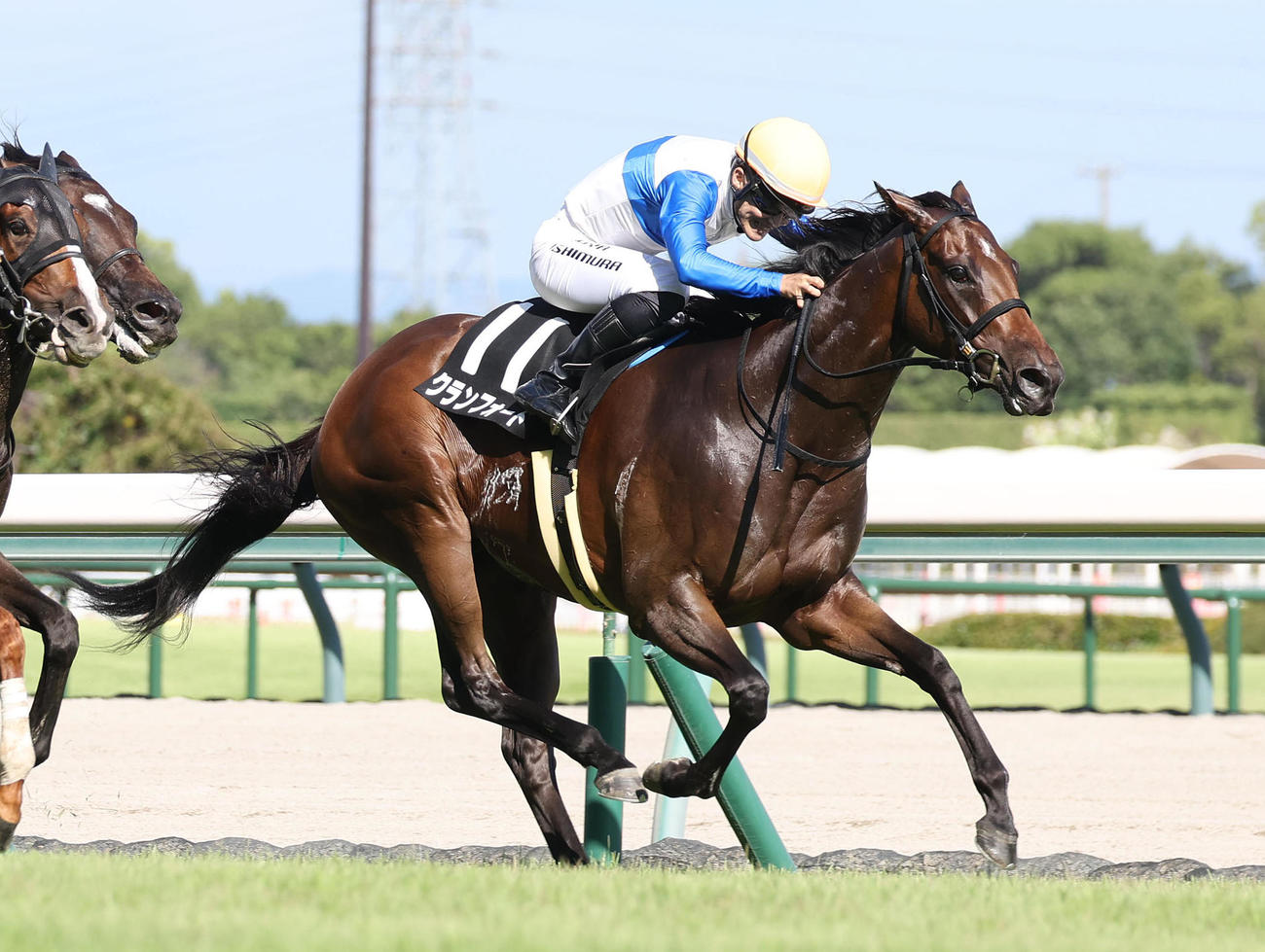 中京11R、レコードタイムで豊明Sを制したクランフォード（撮影・白石智彦）