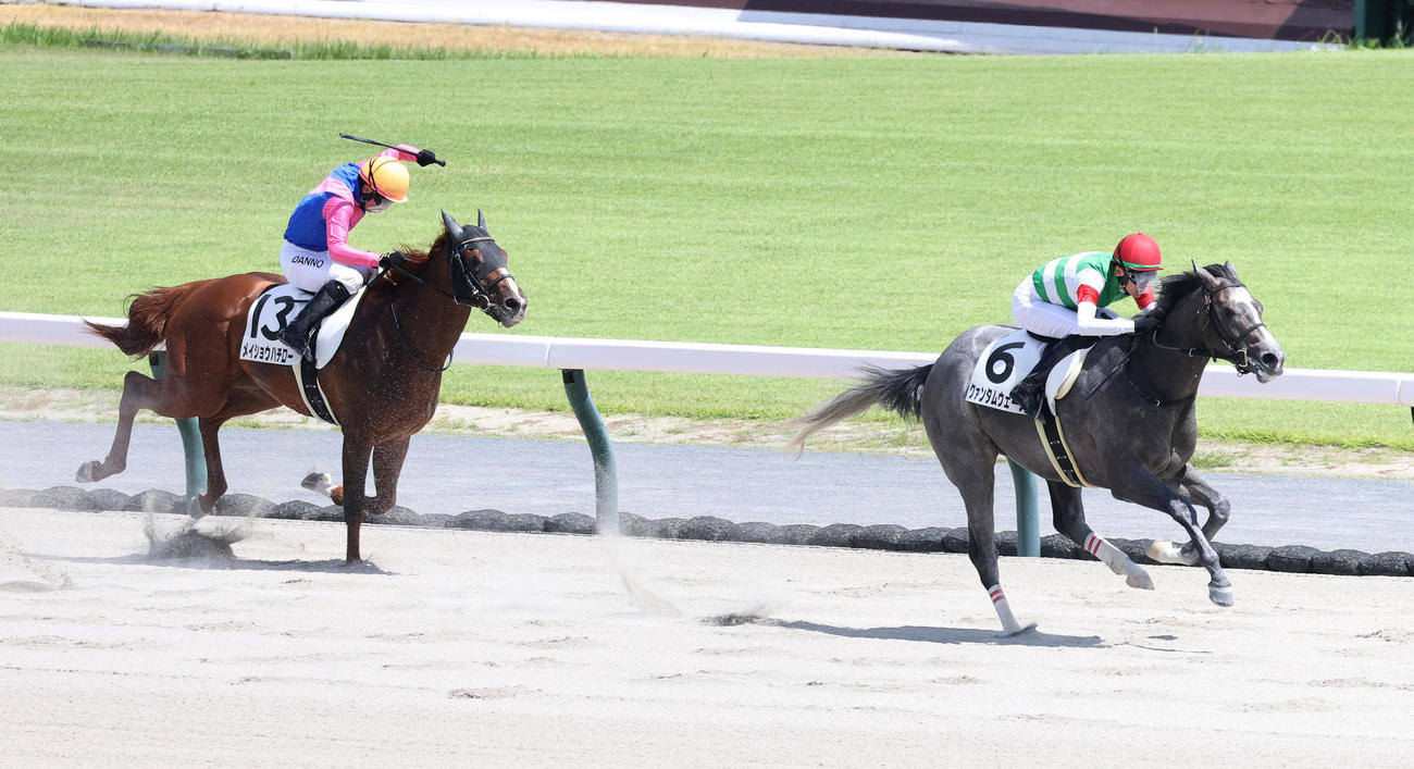 中京6R、直線抜け出して新馬戦を制したクァンタムウェーブ（右）（撮影・白石智彦）