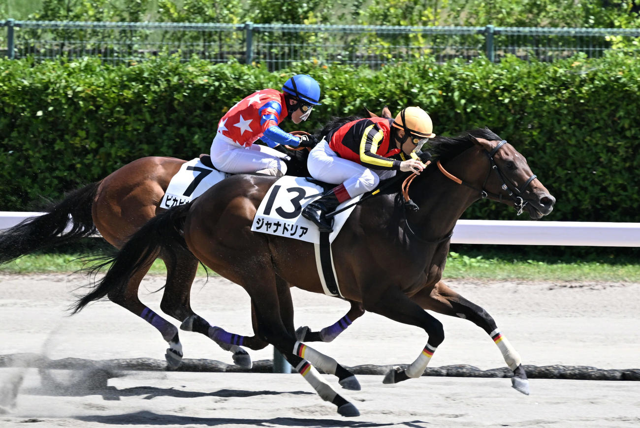 新潟6R、2歳新馬戦を制したジャナドリアとルメール騎手。奥は2着のピカピカサンダー（撮影・千葉一成）