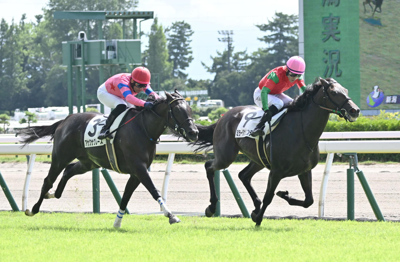 新潟1R、2歳未勝利戦をミラーダカリエンテで制し、JRA通算300勝を挙げた石川裕騎手。左は2着のアサクサグレース（撮影・千葉一成）