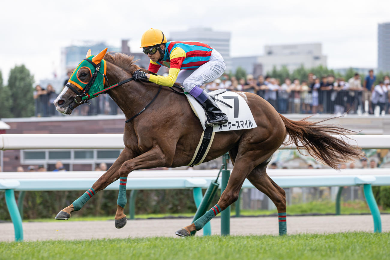 2歳未勝利を制したオーケースマイルと武豊騎手（撮影・村野早祐）