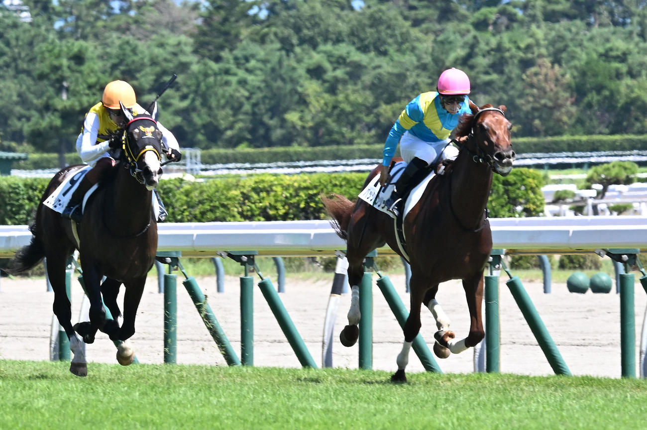 新潟5R新馬戦を制したパッションリッチ（右）、2着ニシノエージェント（撮影・千葉一成）