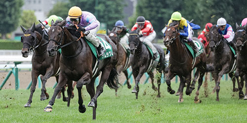 キーンランドCを制したナムラクレアと浜中騎手騎手（撮影・村野早祐）＝2023年8月27日、札幌競馬場