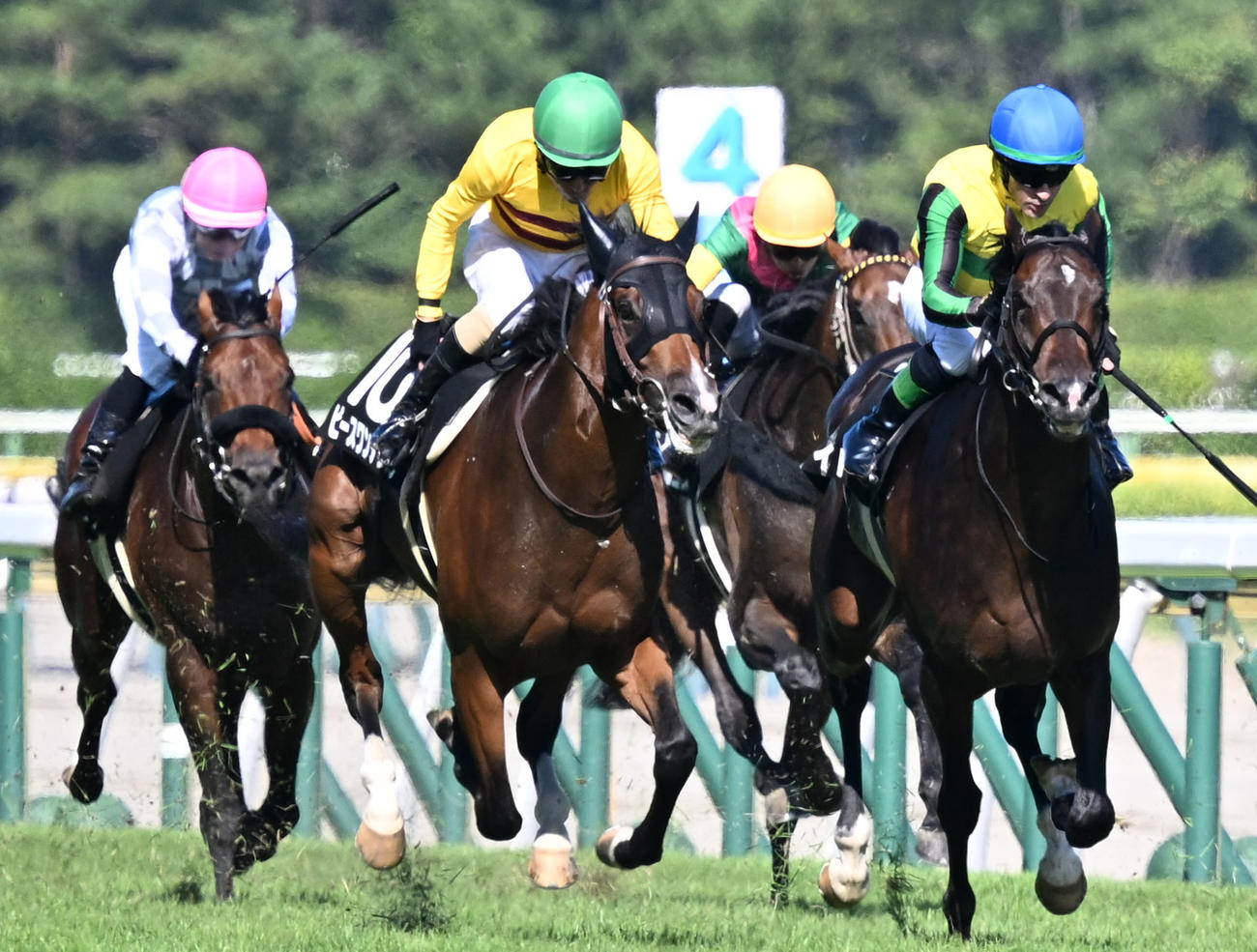 阿賀野川特別を制したピースワンデュックと柴田騎手（左から2頭目）（撮影・千葉一成）