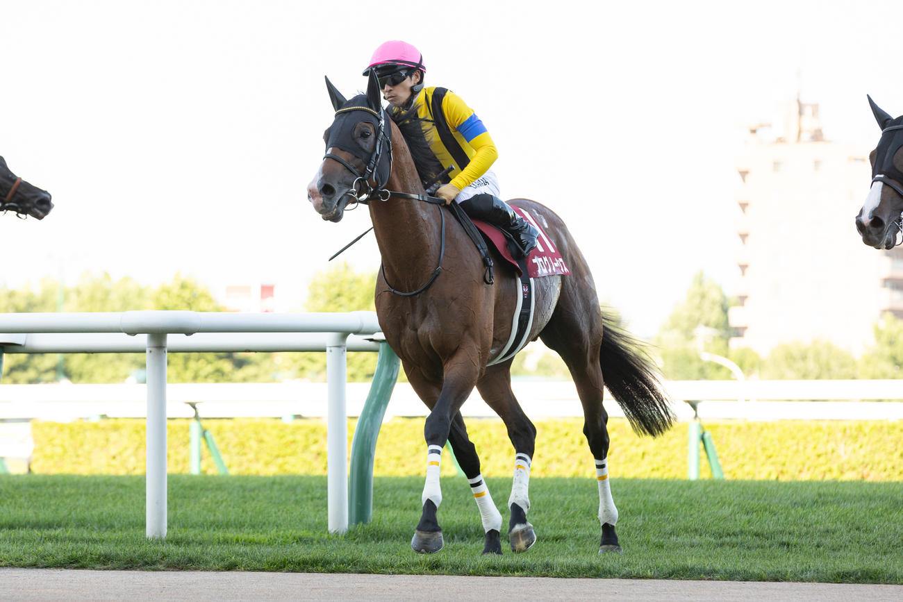 4着に敗れたプログノーシスと川田騎手（撮影・村野早祐）