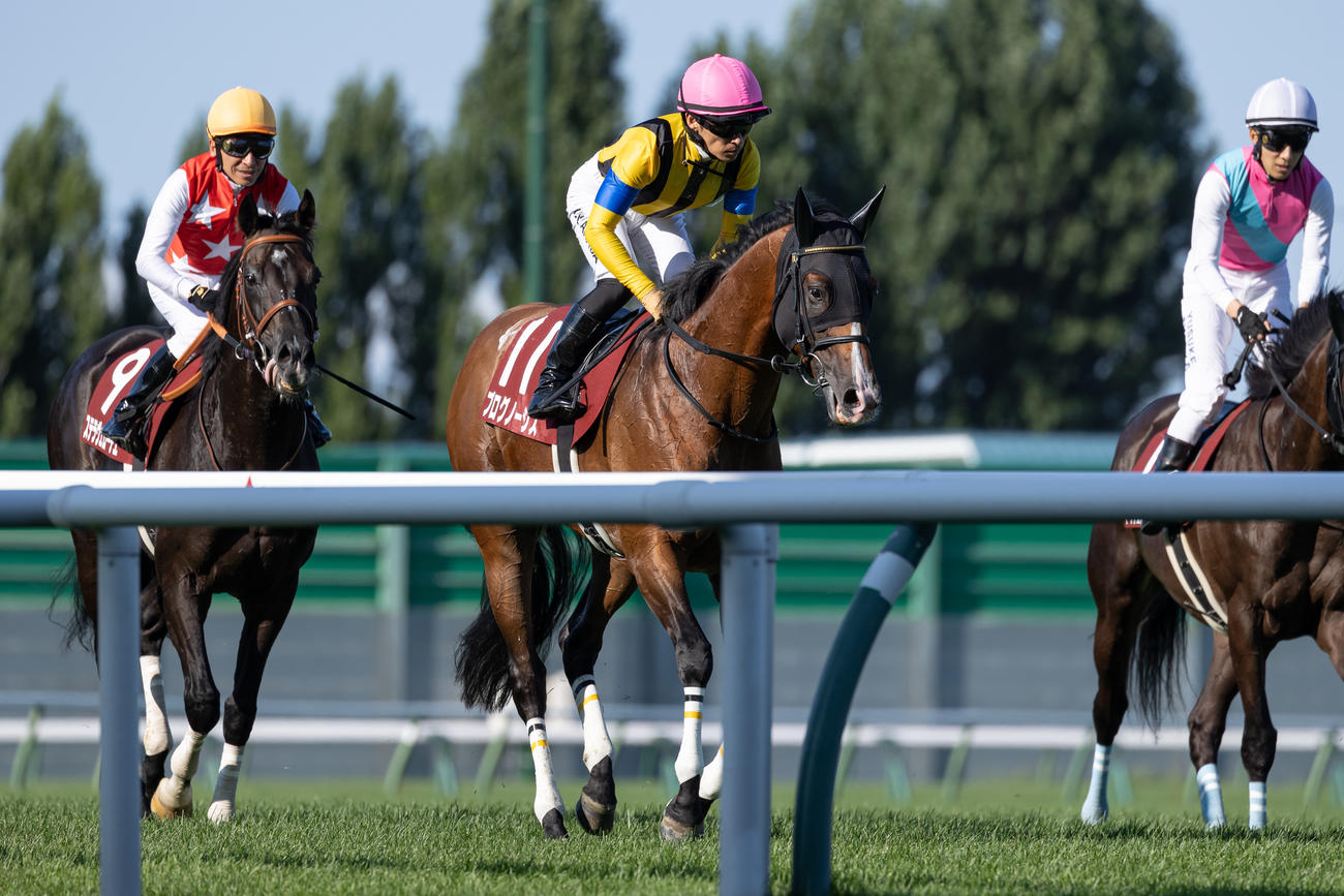 4着に敗れたプログノーシスと川田騎手（撮影・村野早祐）