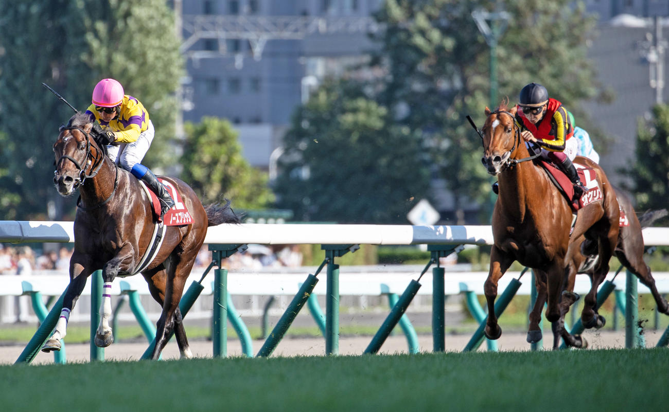 札幌記念2着に入ったジオグリフ（右）。左は勝ったノースブリッジ