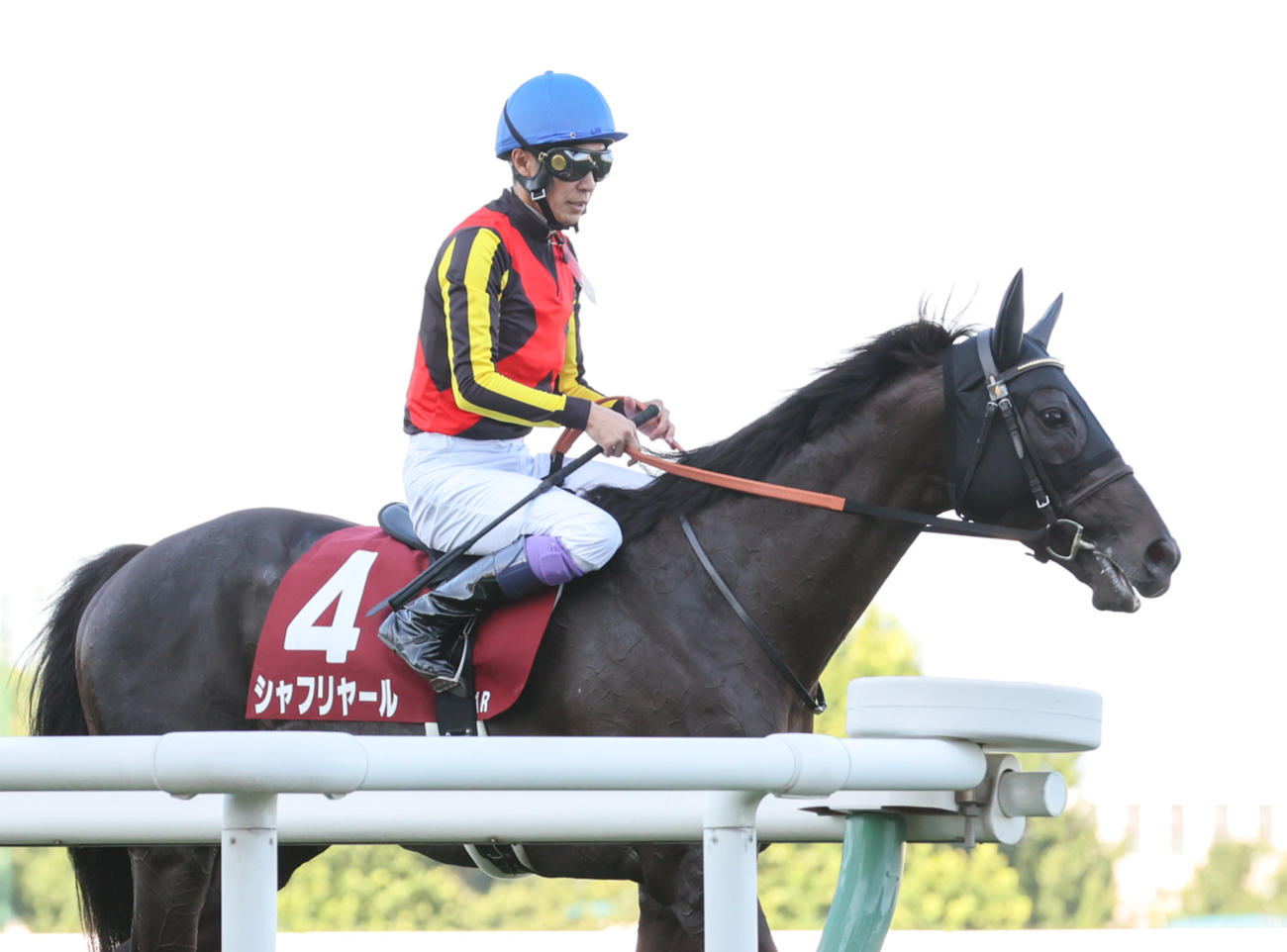 札幌記念5着に敗れたシャフリヤールと武豊騎手（撮影・村野早祐）
