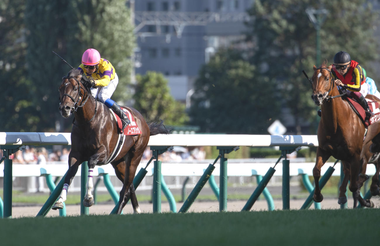 札幌記念を制したノースブリッジと岩田康騎手（左）（撮影・村野早祐）