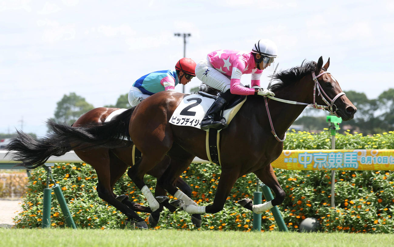 中京5R、直線後方から伸びて新馬戦を制したビップデイジー（撮影・白石智彦）