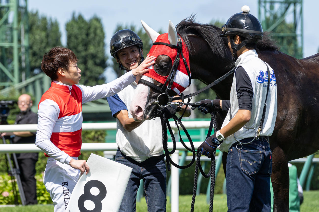 ショウナンバルドルを撫でる池添騎手（撮影・村野早祐）
