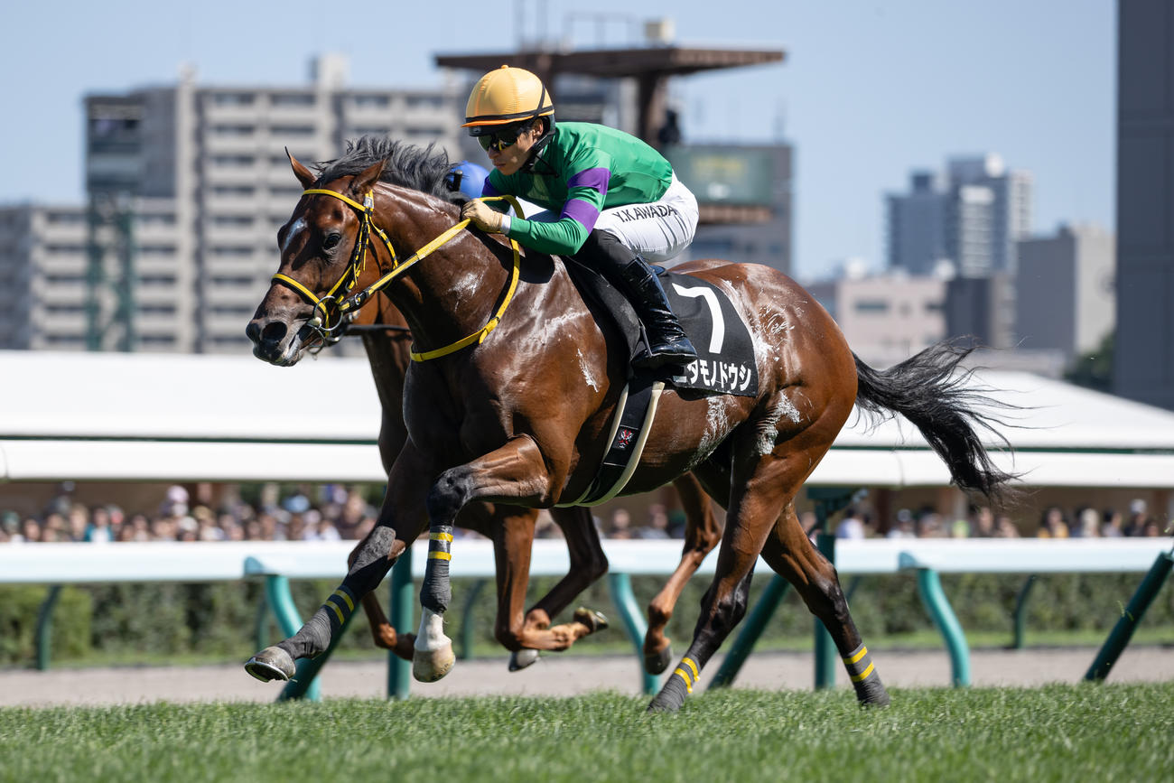 札幌8R、クローバー賞を制したニタモノドウシと川田騎手（撮影・村野早祐）