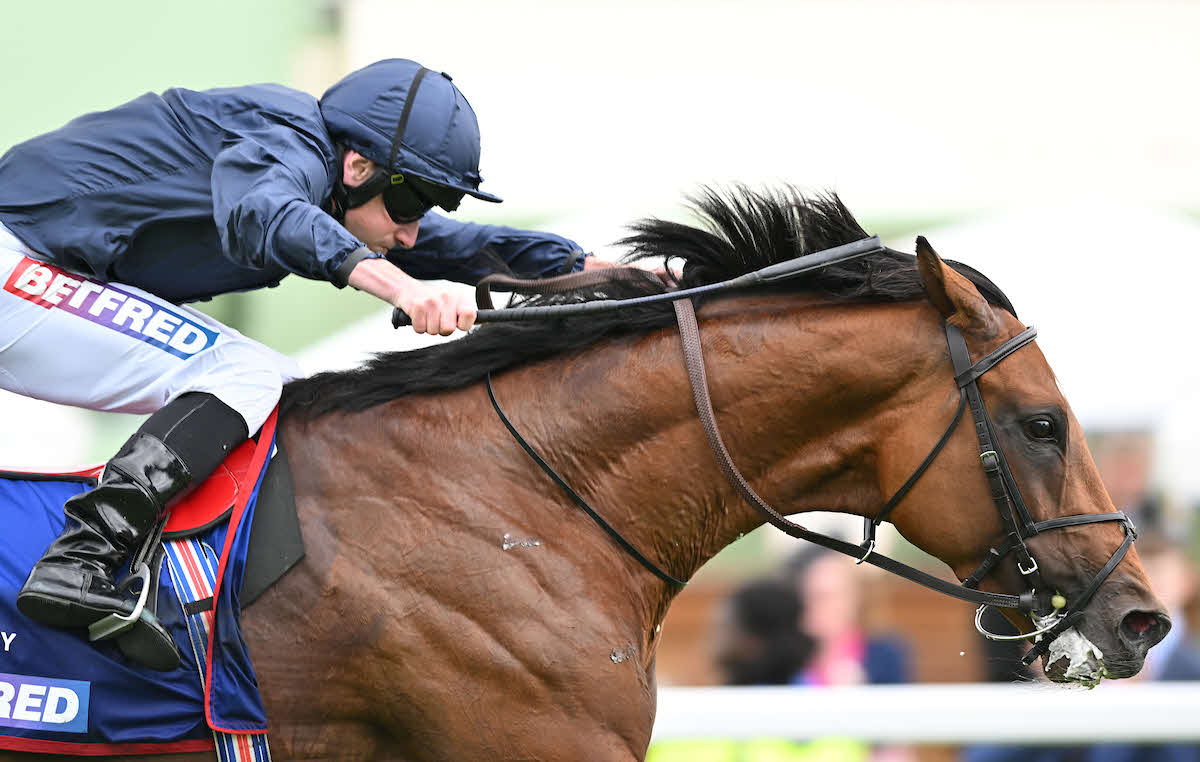 英ダービー馬シティオブトロイ（C）FocusOnRacing.com