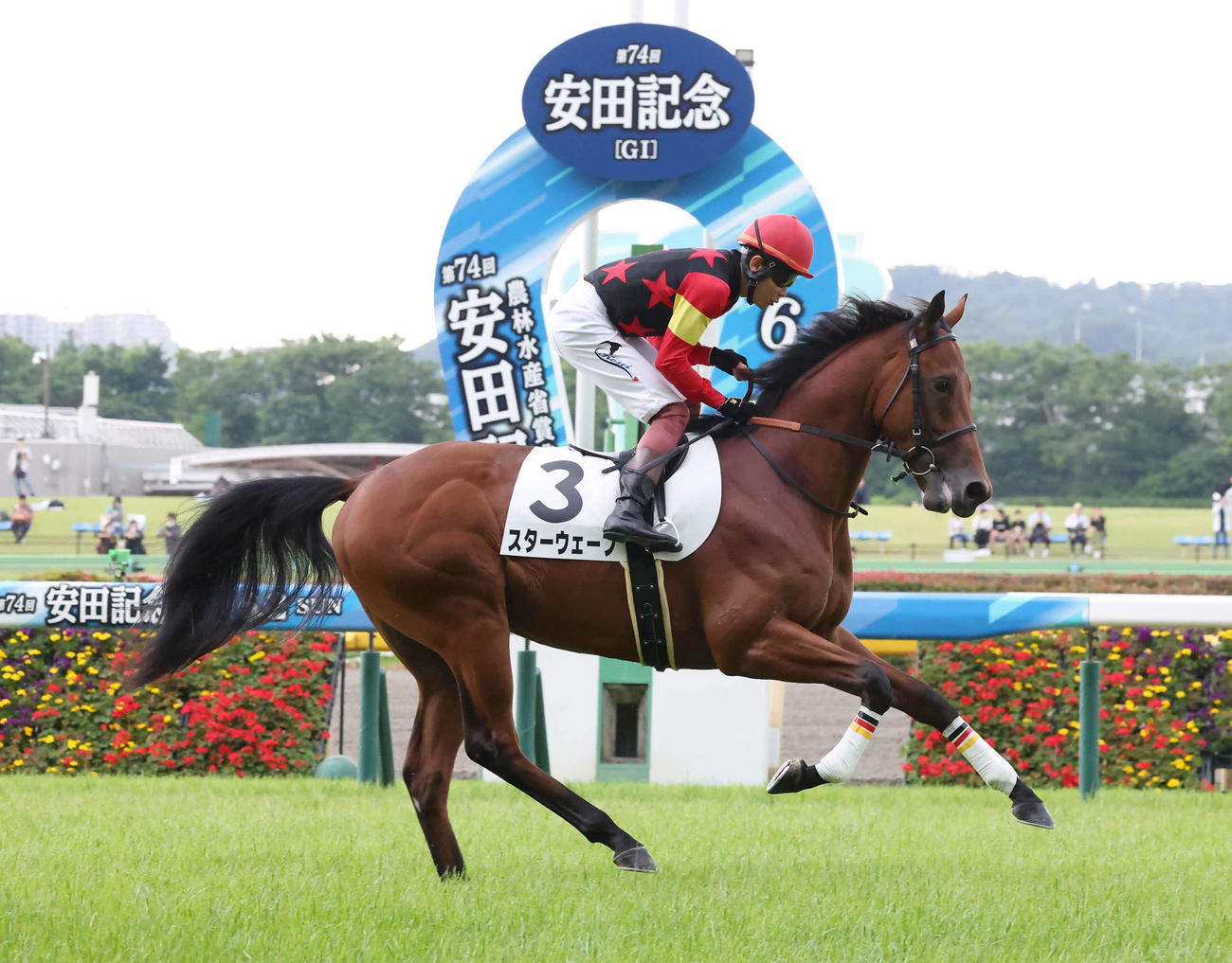 東京6R、2歳新馬戦に出走したスターウェーブと三浦騎手（2024年6月2日撮影）
