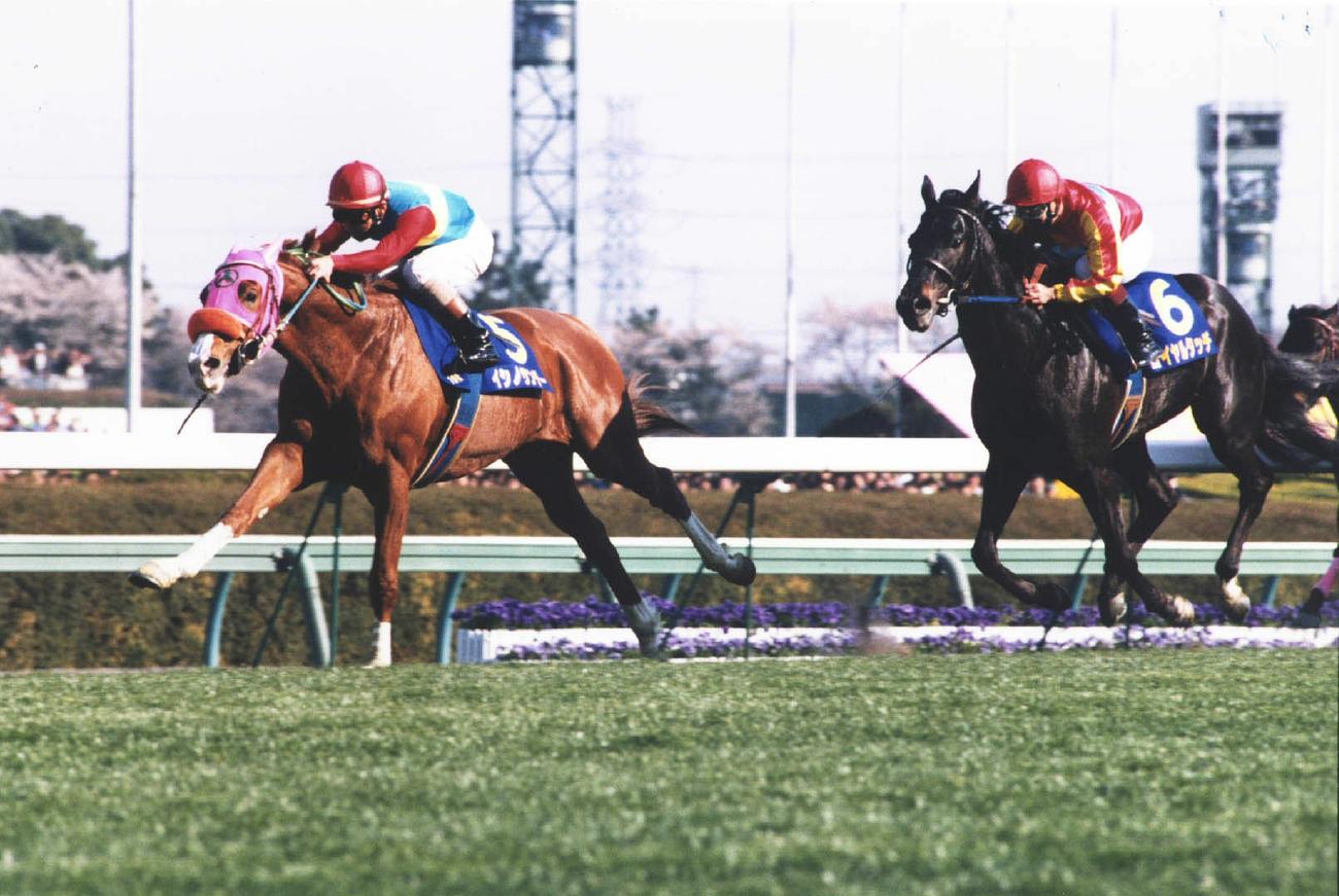 96年、皐月賞を制した四位騎手騎乗のイシノサンデー。右は2着のロイヤルタッチ