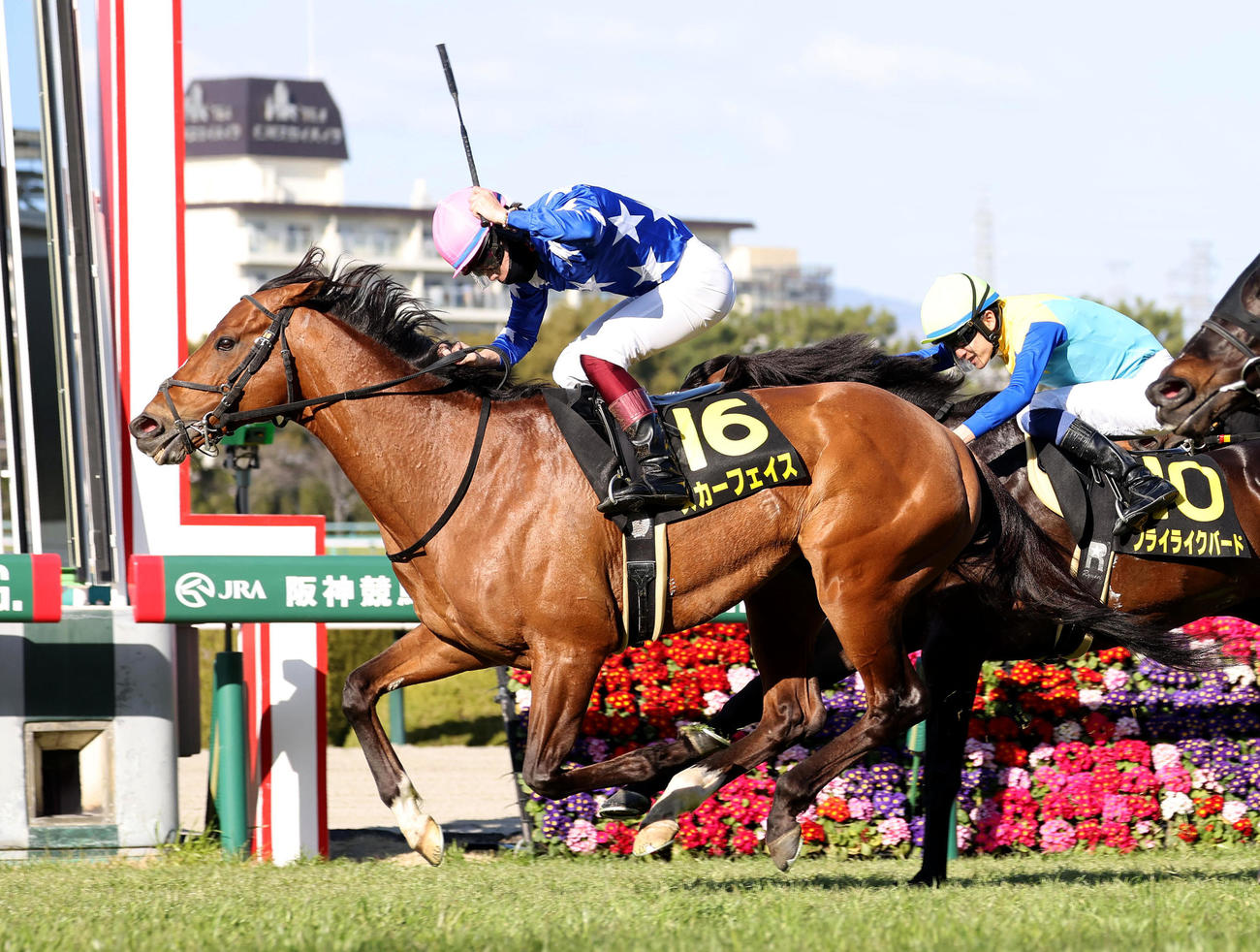 直線外から伸びて大阪城Sを制したスカーフェイス（2023年3月5日撮影）