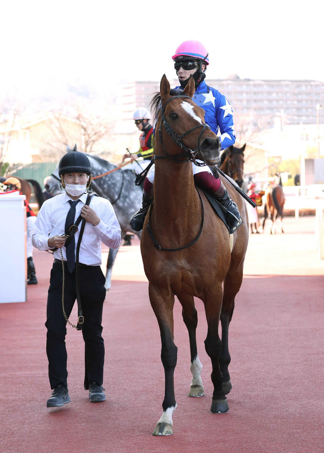 阪神11R、大阪城Sを制したスカーフェイス（2023年3月5日撮影）