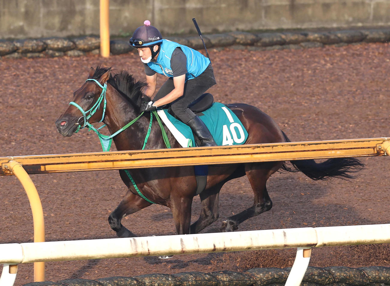 Cウッドを単走で追い切るトータルクラリティ（撮影・白石智彦）