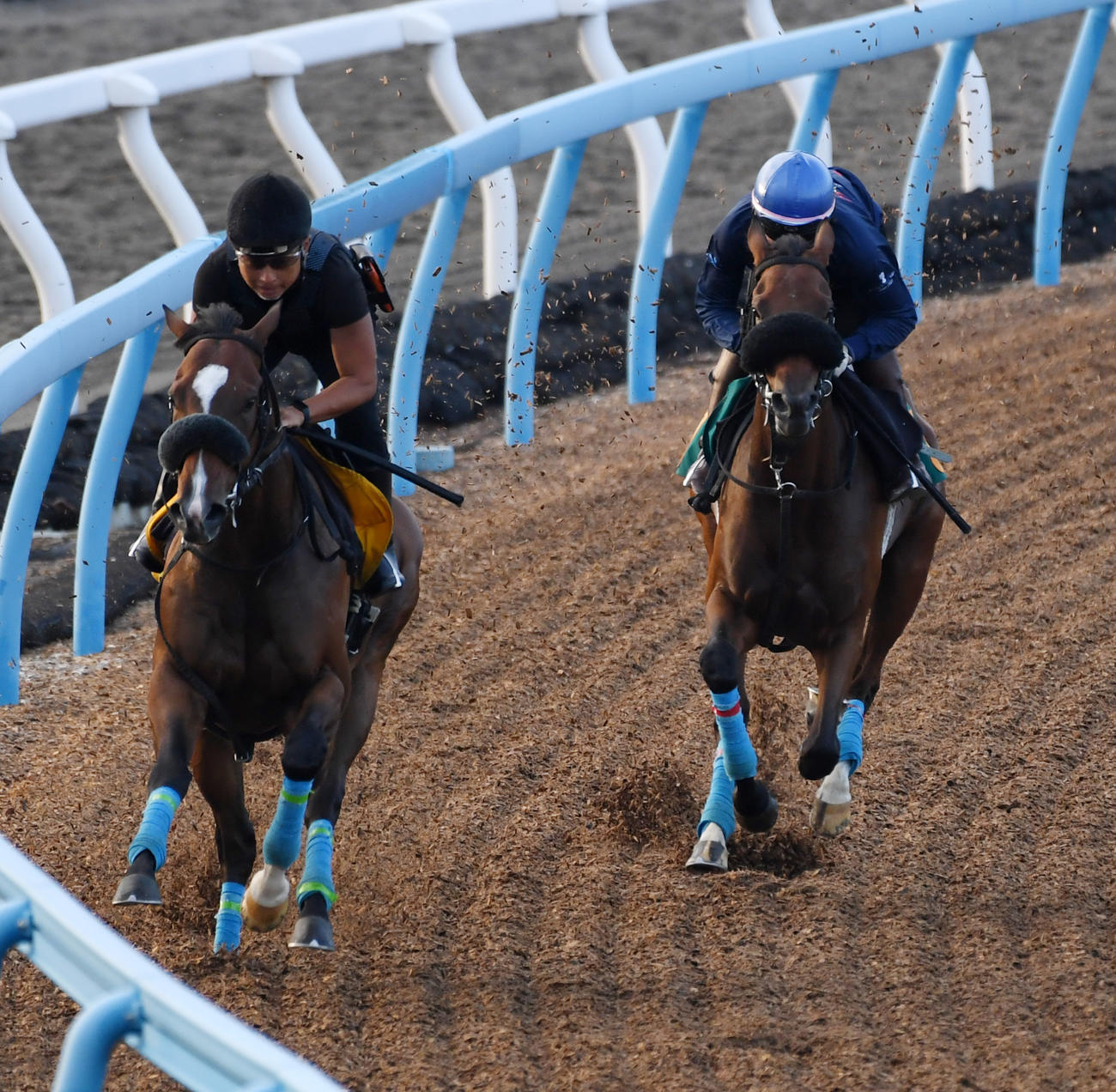 杉原騎手を背にキタノクニカラ（右）はルーラーリッチと併せて追い切る（撮影・柴田隆二）