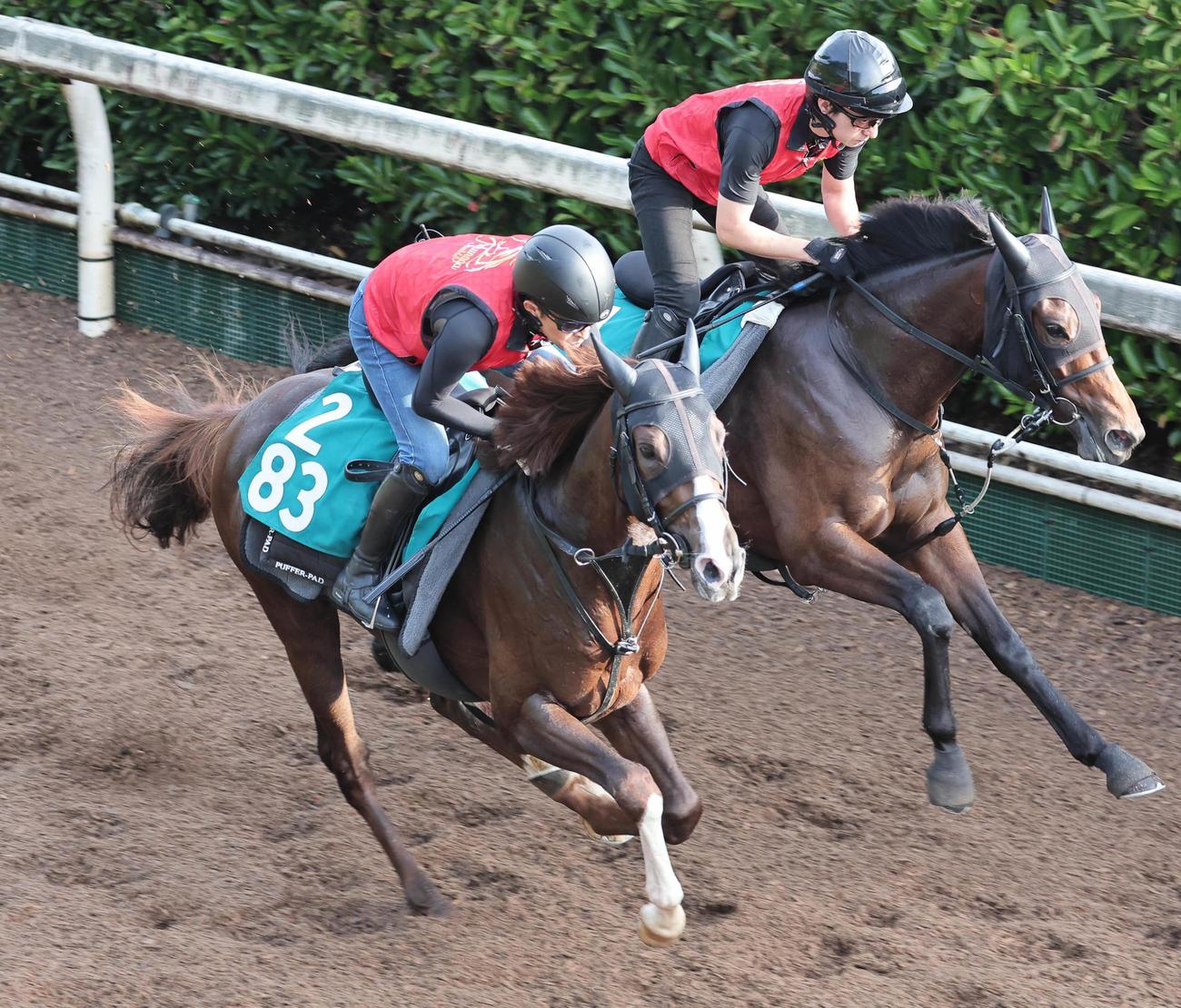 坂路を併せ馬で追い切るワイドメテオール（左）