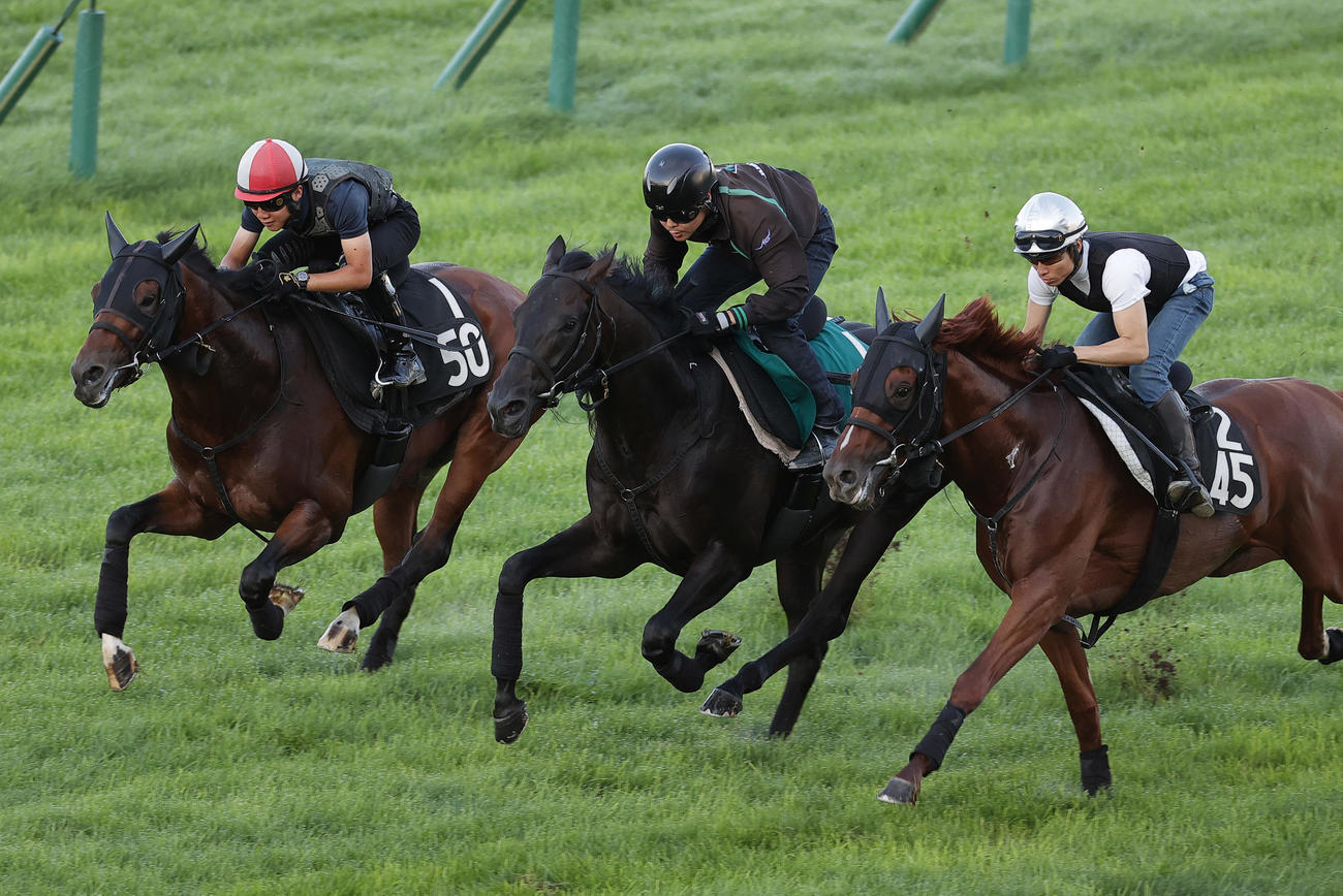 函館芝で、併せ馬で追い切られるマジックサンズ（中央）