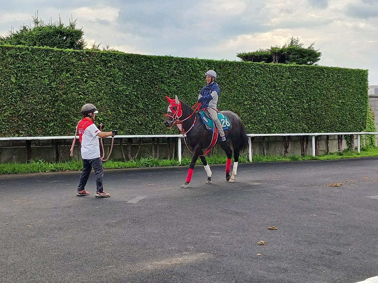 札幌2歳Sに向けて1週前追い切りを行ったキングスコール（撮影・奥田隼人）