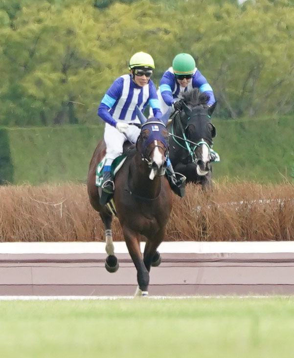 中京4R、小倉サマーJで最終障害を越える5番ロスコフ（左）（撮影・森本幸一）