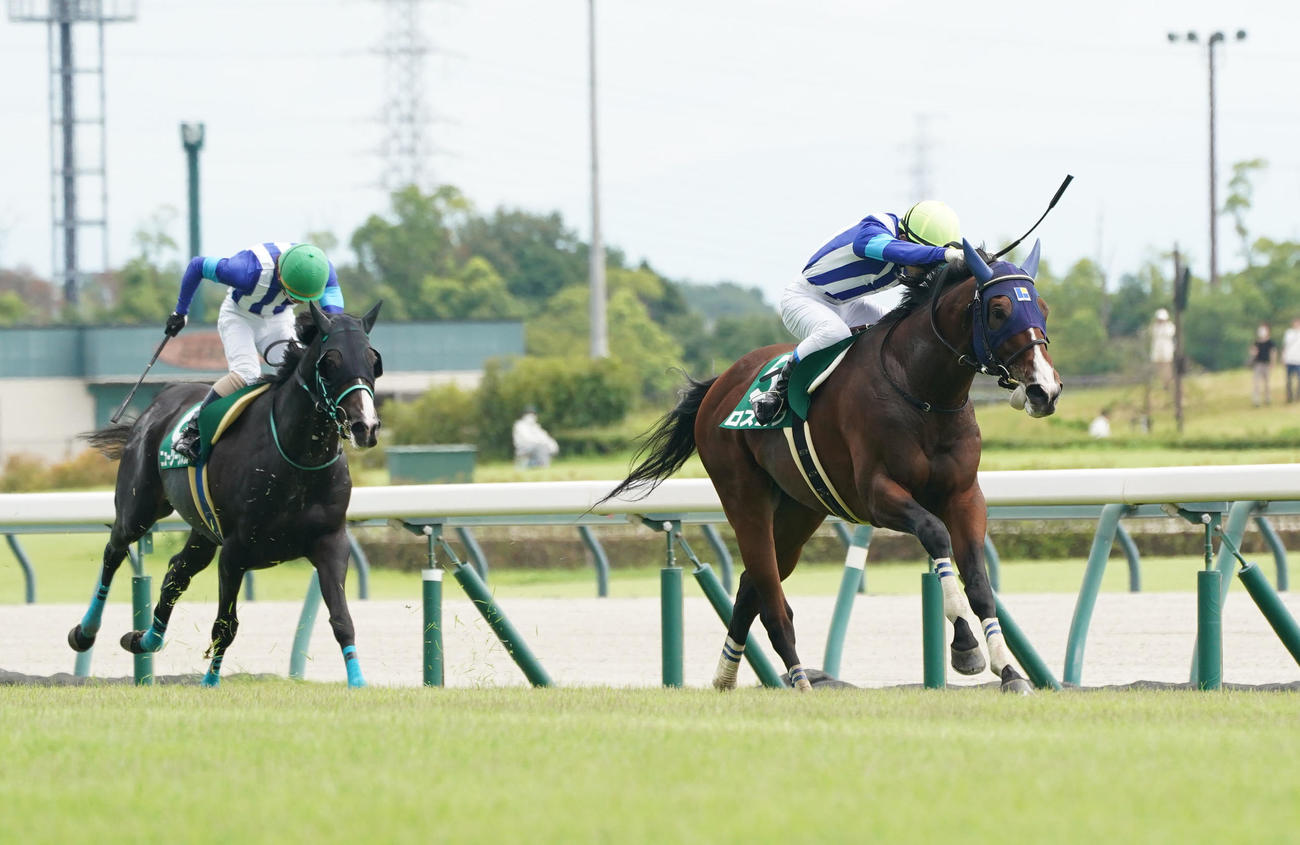 中京4R、小倉サマーJ1着のロスコフ（右）（撮影・森本幸一）