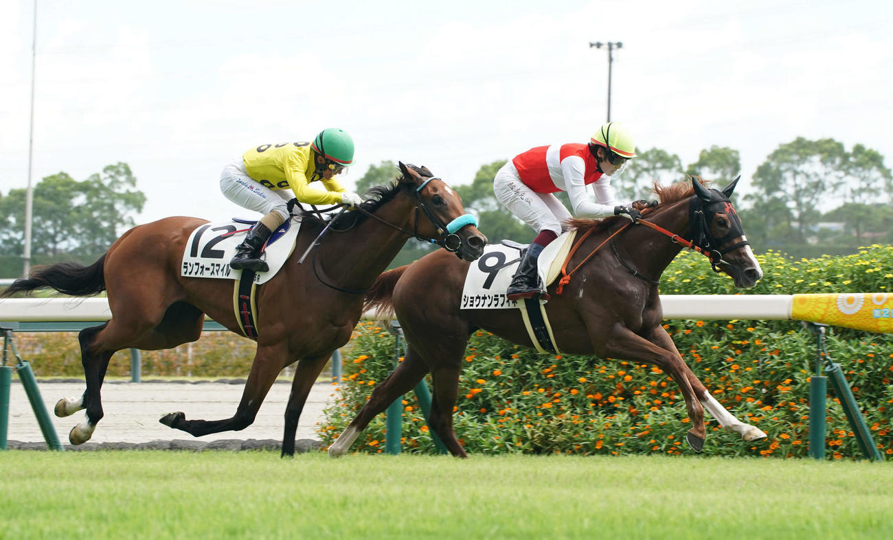 新馬戦を制したショウナンラフィネ（右）と鮫島駿騎手