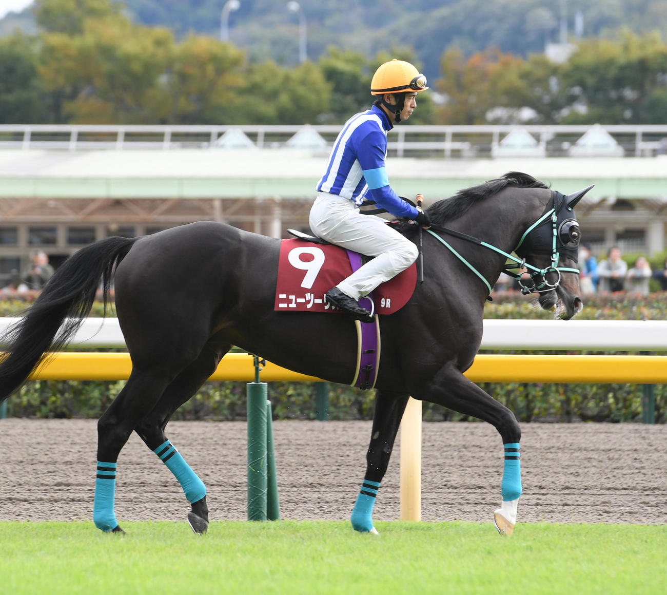 ニューツーリズム（2023年10月撮影）