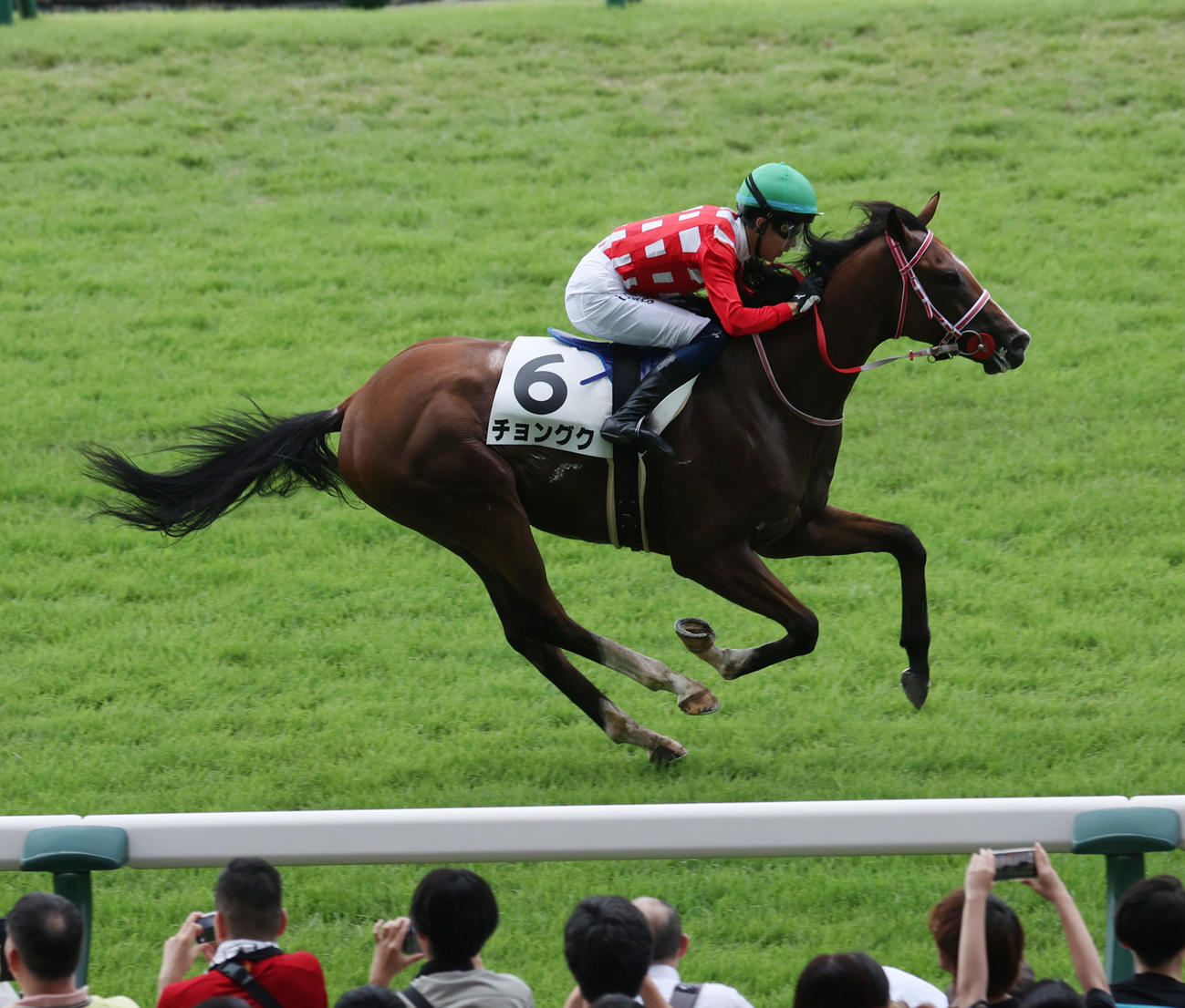 新潟3R、1着のチョングクと小林脩斗騎手（撮影・柴田隆二）