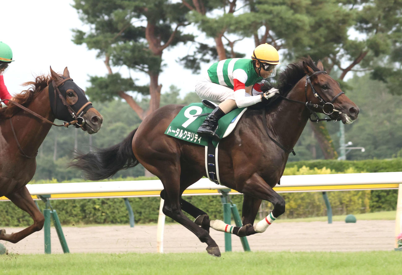 新潟2歳Sを制したトータルクラリティ（撮影・柴田隆二）