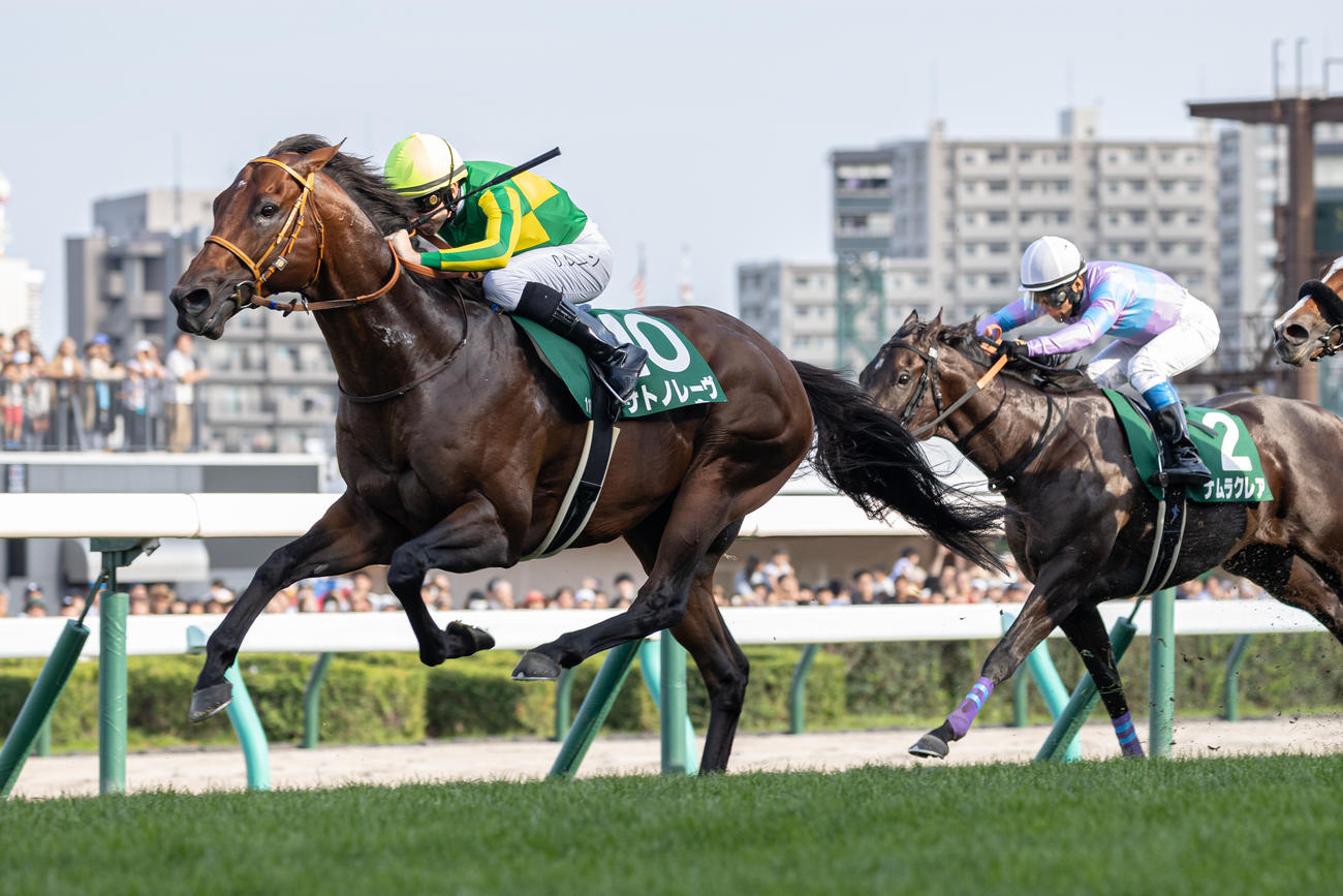 キーンランドCを制したサトノレーヴとD・レーン騎手（撮影・村野早祐）