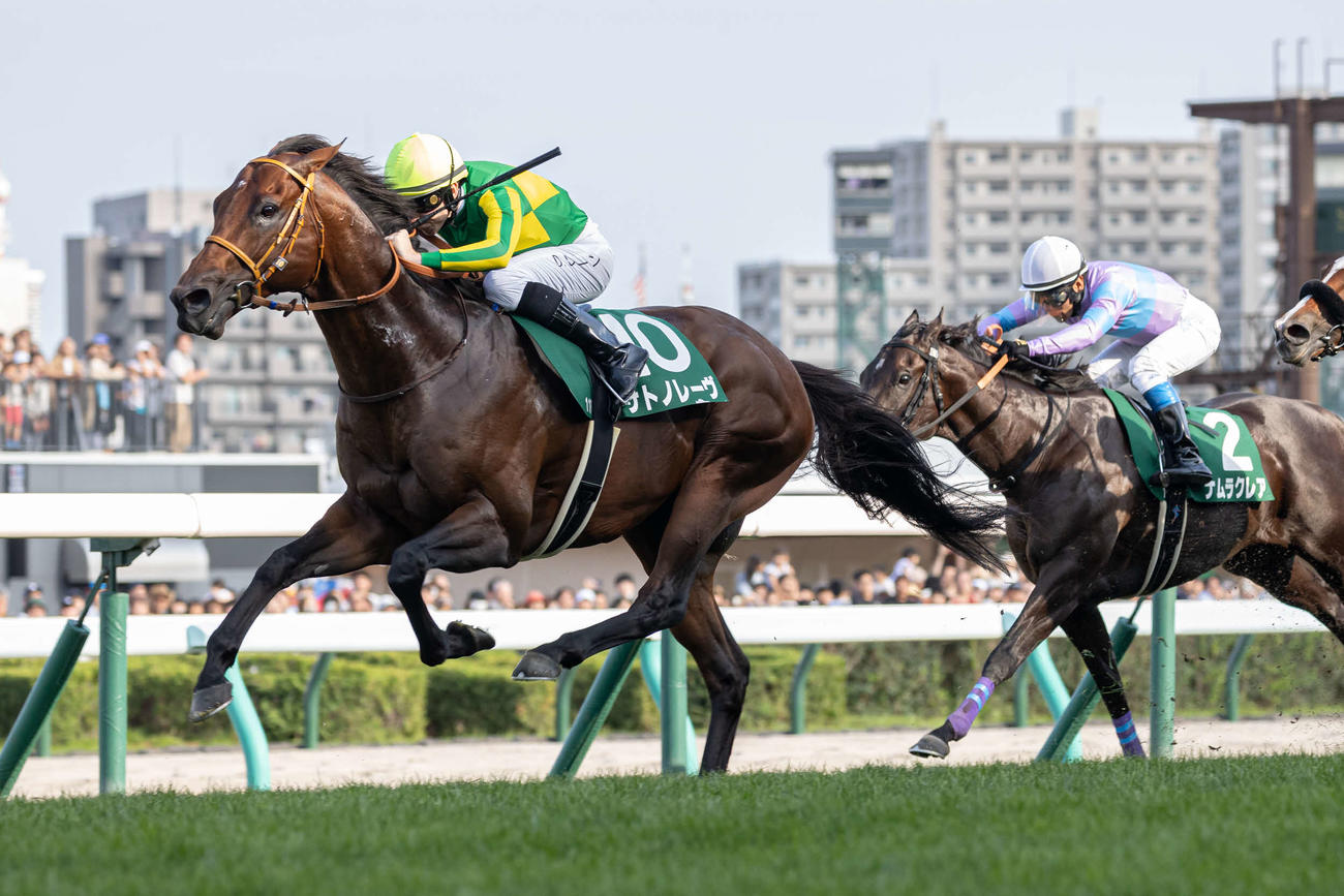 キーンランドCを制したサトノレーヴとレーン騎手（撮影・村野早祐）